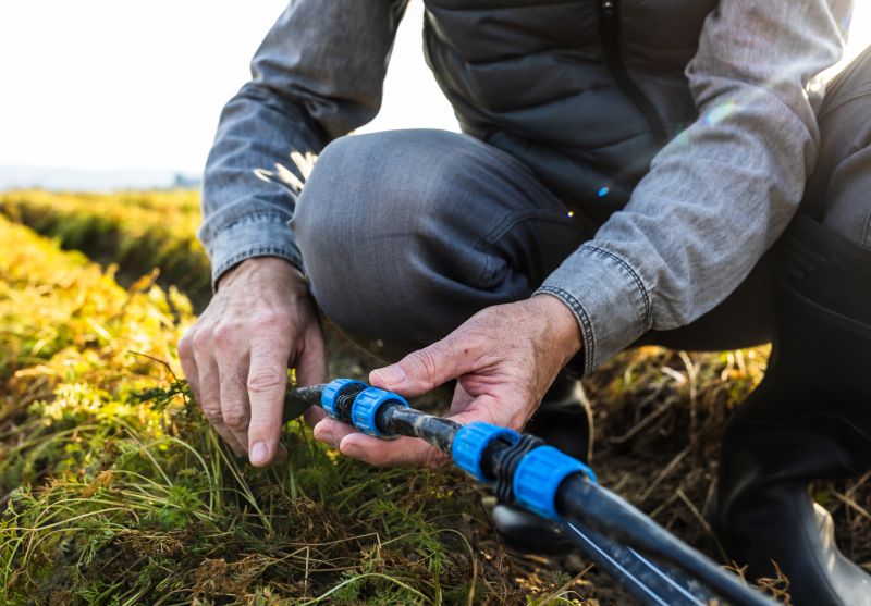 Winterized Sprinkler System