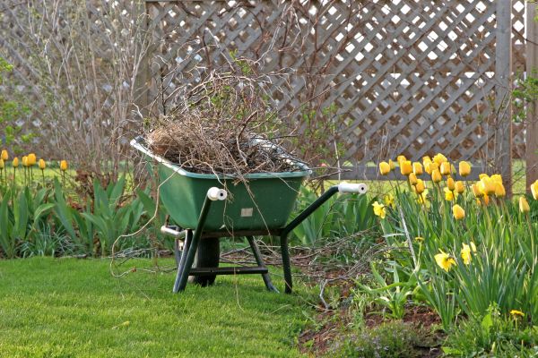 Flower Bed Cleanup Service in Jupiter