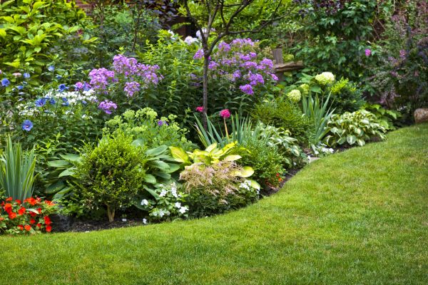 Flower Bed Service in Jupiter