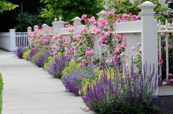 Garden Handyman Service in Jupiter