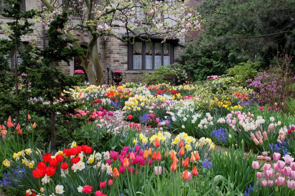 Garden Maintenance Service in Jupiter