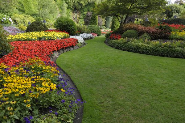 Landscaping Maintenance in Jupiter