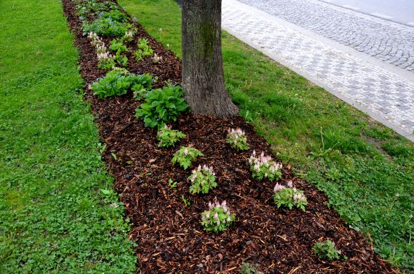 Mulch Replacement Service in Jupiter
