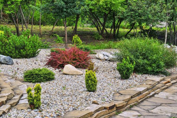 Rock Landscaping in Jupiter