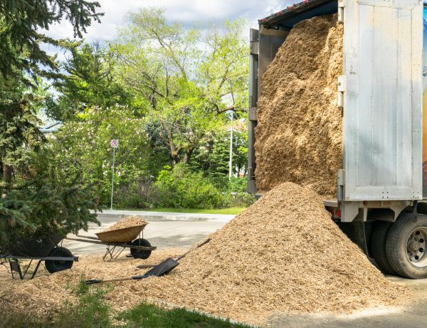 Wood Chips Delivery in Jupiter