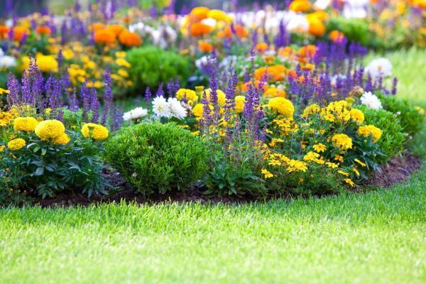 Garden Installation in Jupiter