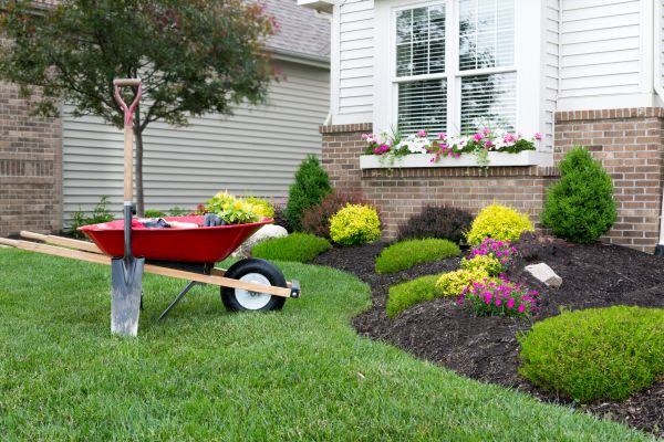 Landscape Maintenance Service in Jupiter