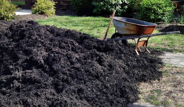 Black Mulch Delivery in Jupiter