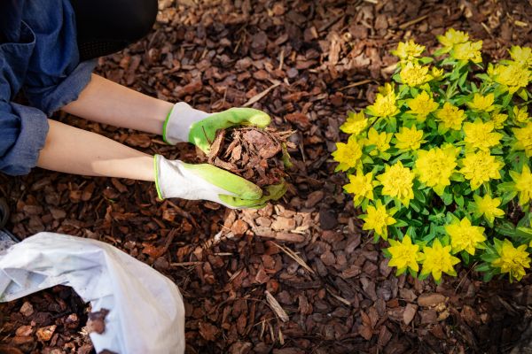 Garden Mulching in Jupiter
