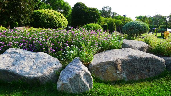 Boulder Landscaping in Jupiter