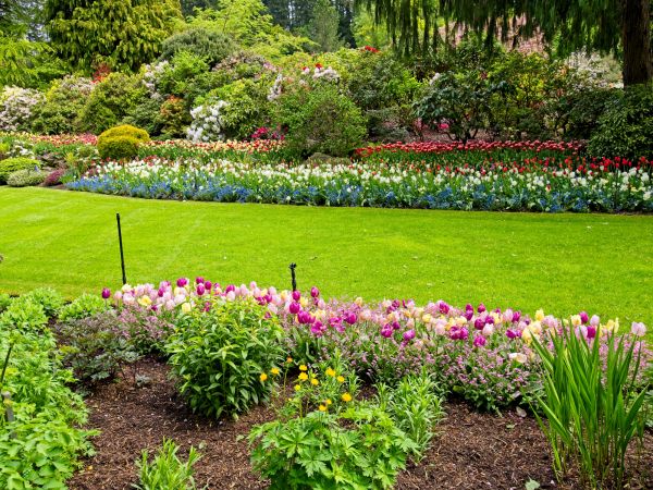 Residential Landscape Design in Jupiter
