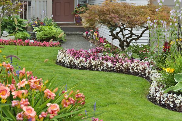 Perennial Landscaping in Jupiter
