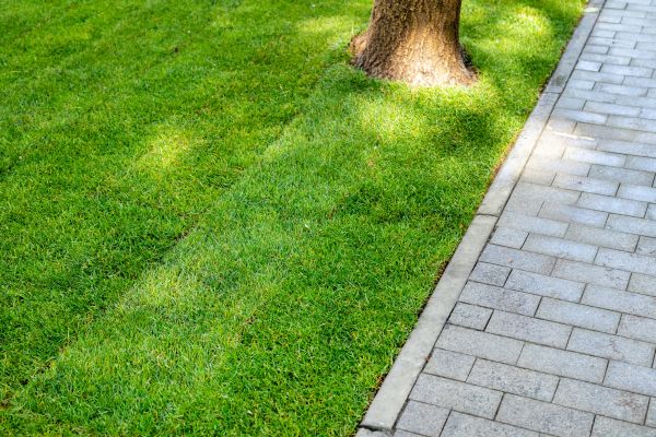 Border Stone Installation in Jupiter