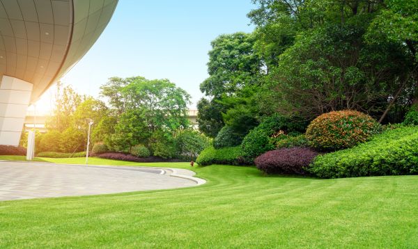 Business Landscape Design in Jupiter