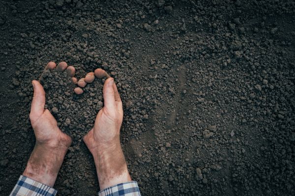 Soil Installation in Jupiter