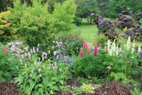 Flower Bed Planting in Jupiter