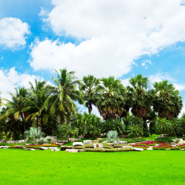 Tropical Landscaping in Jupiter