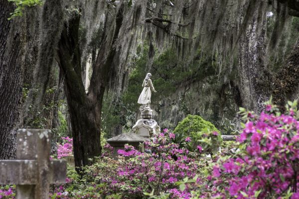 Cemetery Landscaping in Jupiter