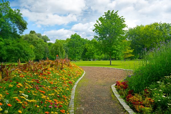 Park Landscaping in Jupiter