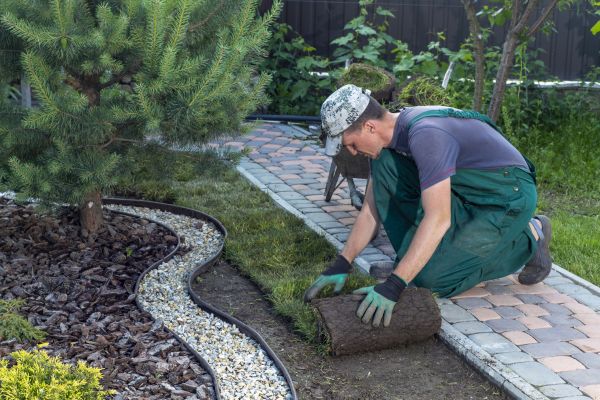 Landscaping Modification in Jupiter