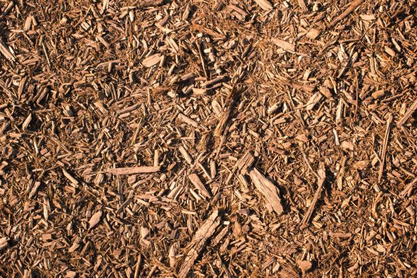 Wood Chips Removal in Jupiter
