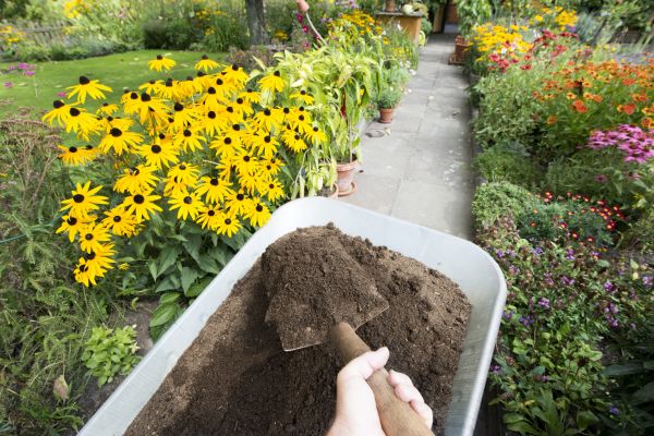 Topsoil Replacement in Jupiter