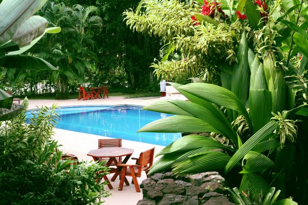 Pool Area Landscaping in Jupiter