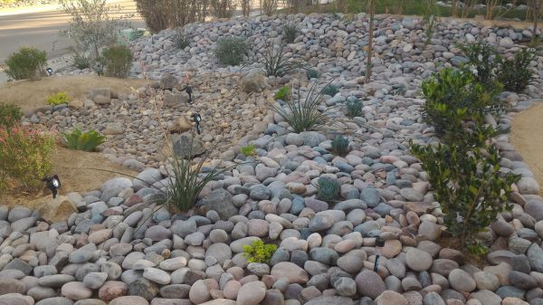 Yard Xeriscaping in Jupiter