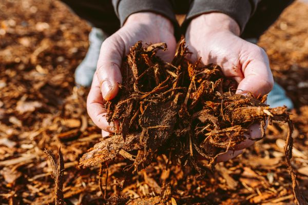 Bark Chips Delivery in Jupiter