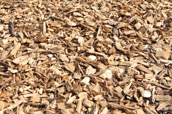 Wood Mulch Delivery in Jupiter