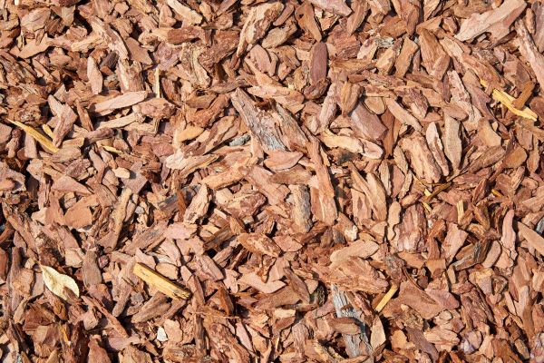 Pine Mulch Delivery in Jupiter