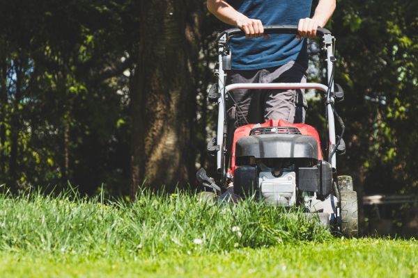 Garden Trimming Service in Jupiter