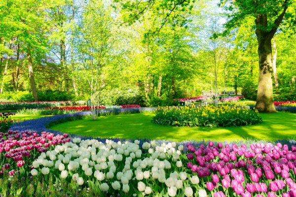 Flower Landscaping in Jupiter