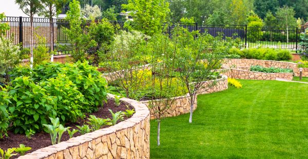 Yard Makeover Service in Jupiter