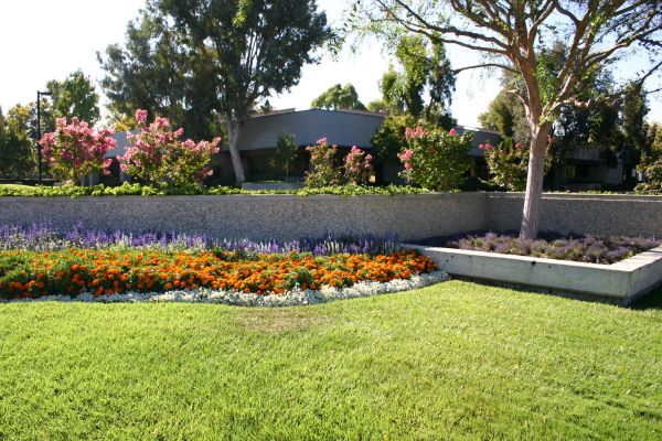 Commercial Landscape Service in Jupiter