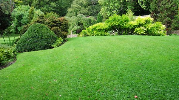Commercial Landscape Design in Jupiter