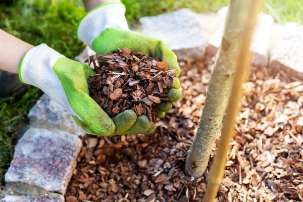 Tree Bark Delivery in Jupiter