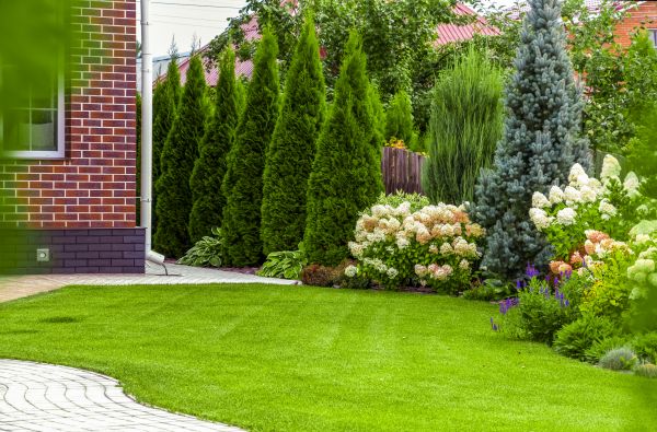 Spring Landscaping in Jupiter