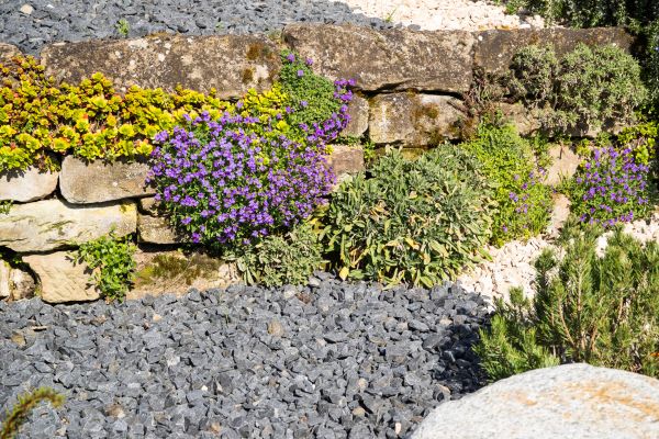 Landscaping Rocks Installation in Jupiter