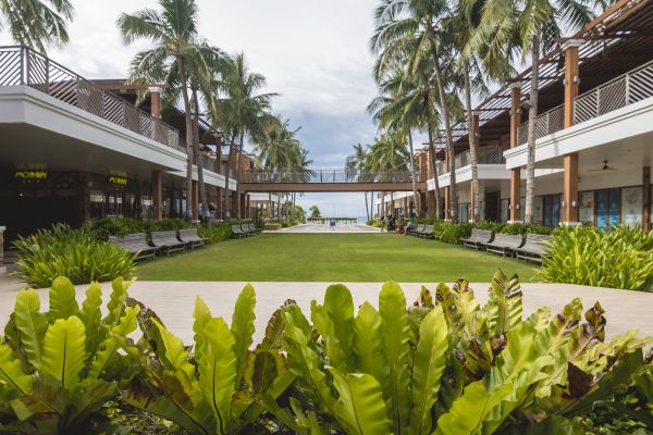 Commercial Lawn Renovation in Jupiter
