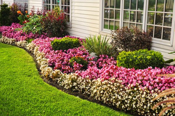 Garden Landscape Design in Jupiter