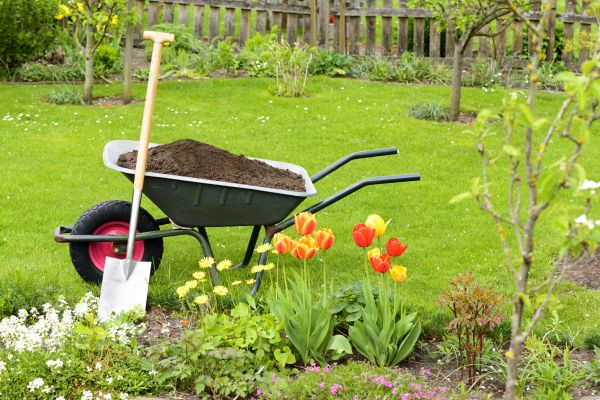 Spring Yard Renovation in Jupiter