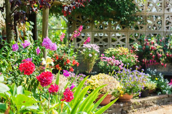 Spring Garden Maintenance in Jupiter