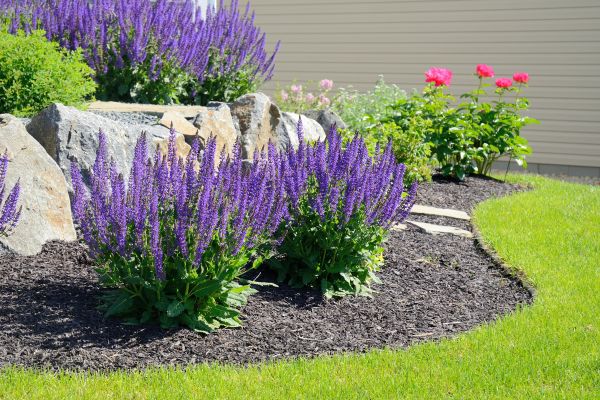 Landscape Planting Service in Jupiter