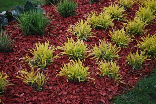 Red Mulch Installation in Jupiter