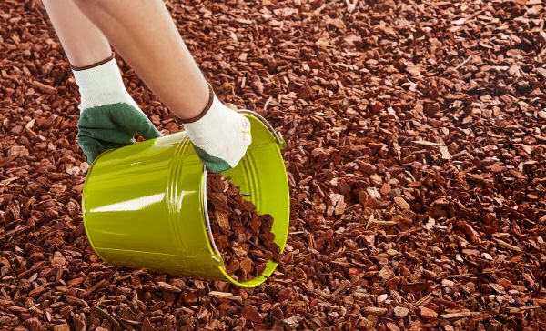 Wood Chip Landscaping in Jupiter