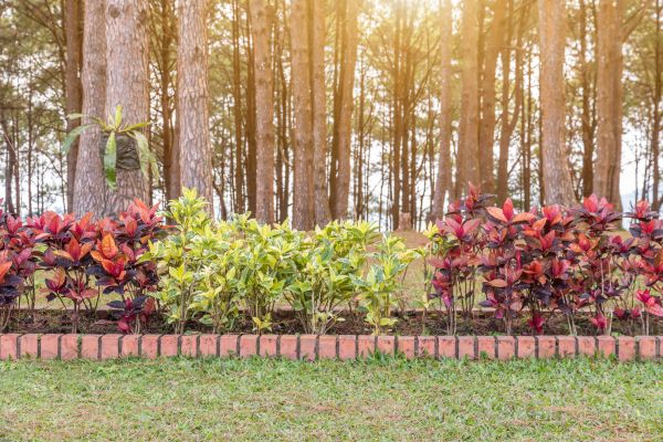 Small Garden Landscaping in Jupiter