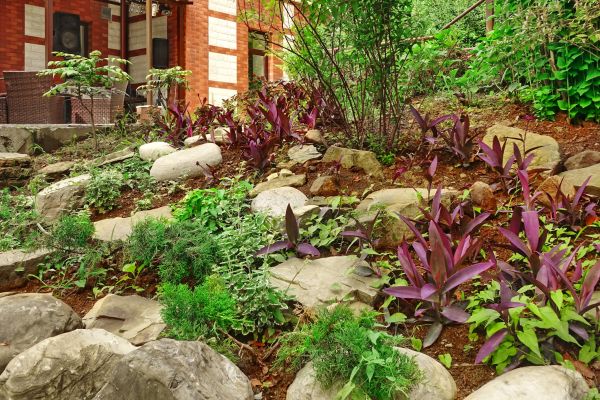 Rock Garden Landscaping in Jupiter
