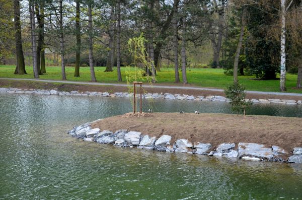 Pond Landscaping Service in Jupiter