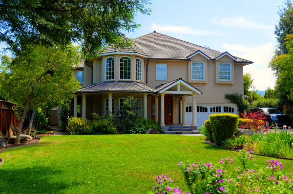 Large Yard Landscaping in Jupiter